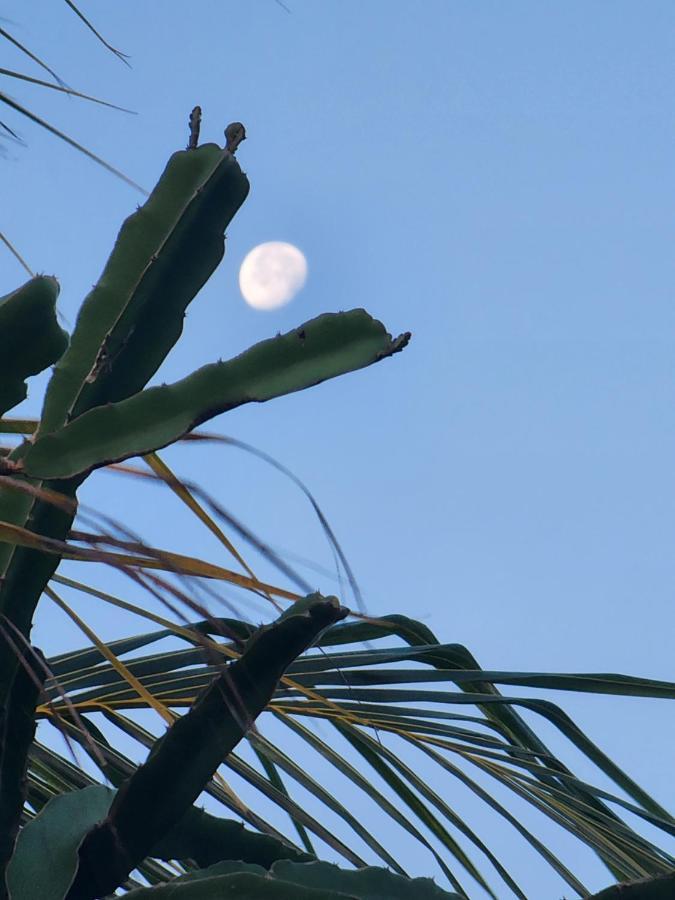 Myoli Wellness & Happiness Bnb Playa del Carmen Exteriör bild