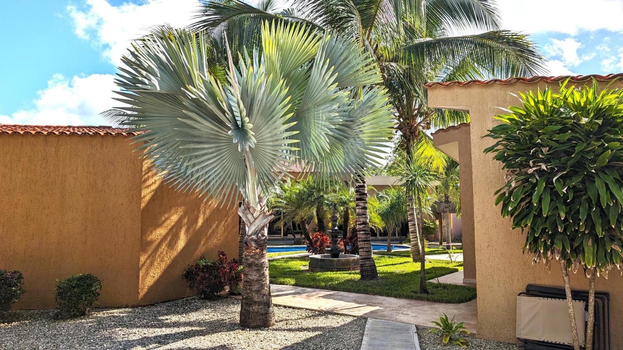 Myoli Wellness & Happiness Bnb Playa del Carmen Exteriör bild